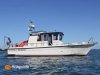 GAHINET TARGA 31